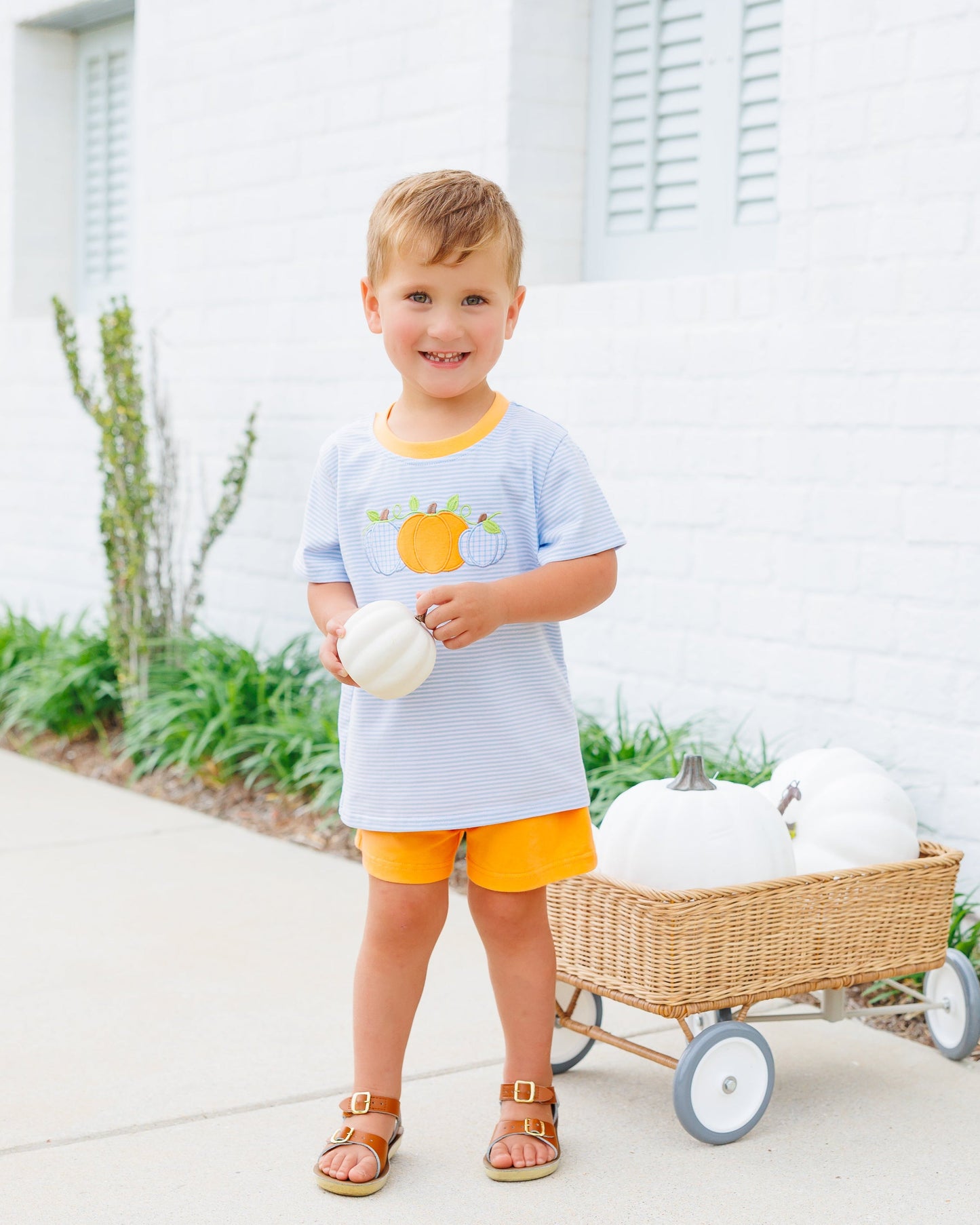 Boys Harvest Trio Short Set