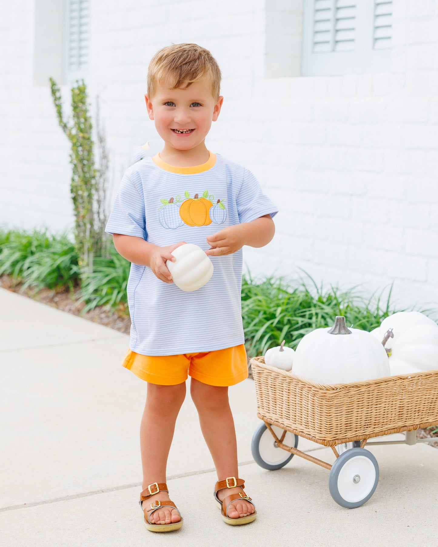 Boys Harvest Trio Short Set