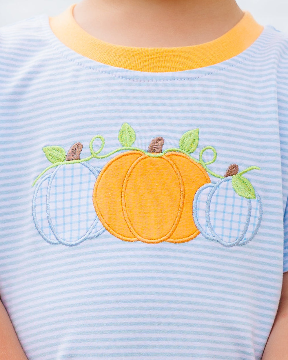 Boys Harvest Trio Short Set