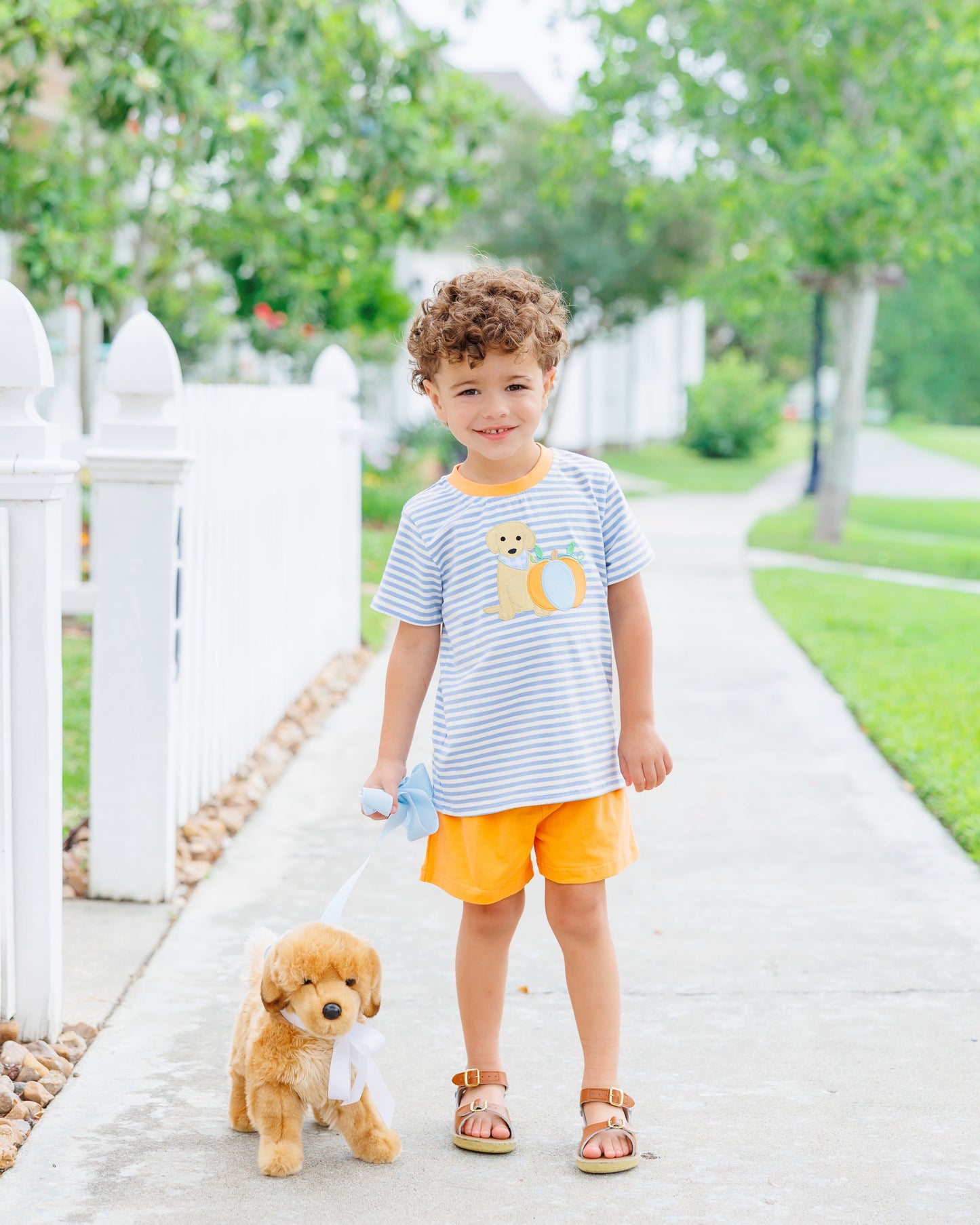 Boys Pumpkins and Paws Short Set