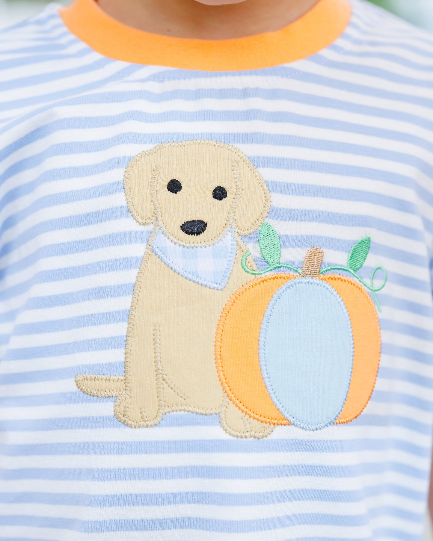 Boys Pumpkins and Paws Short Set
