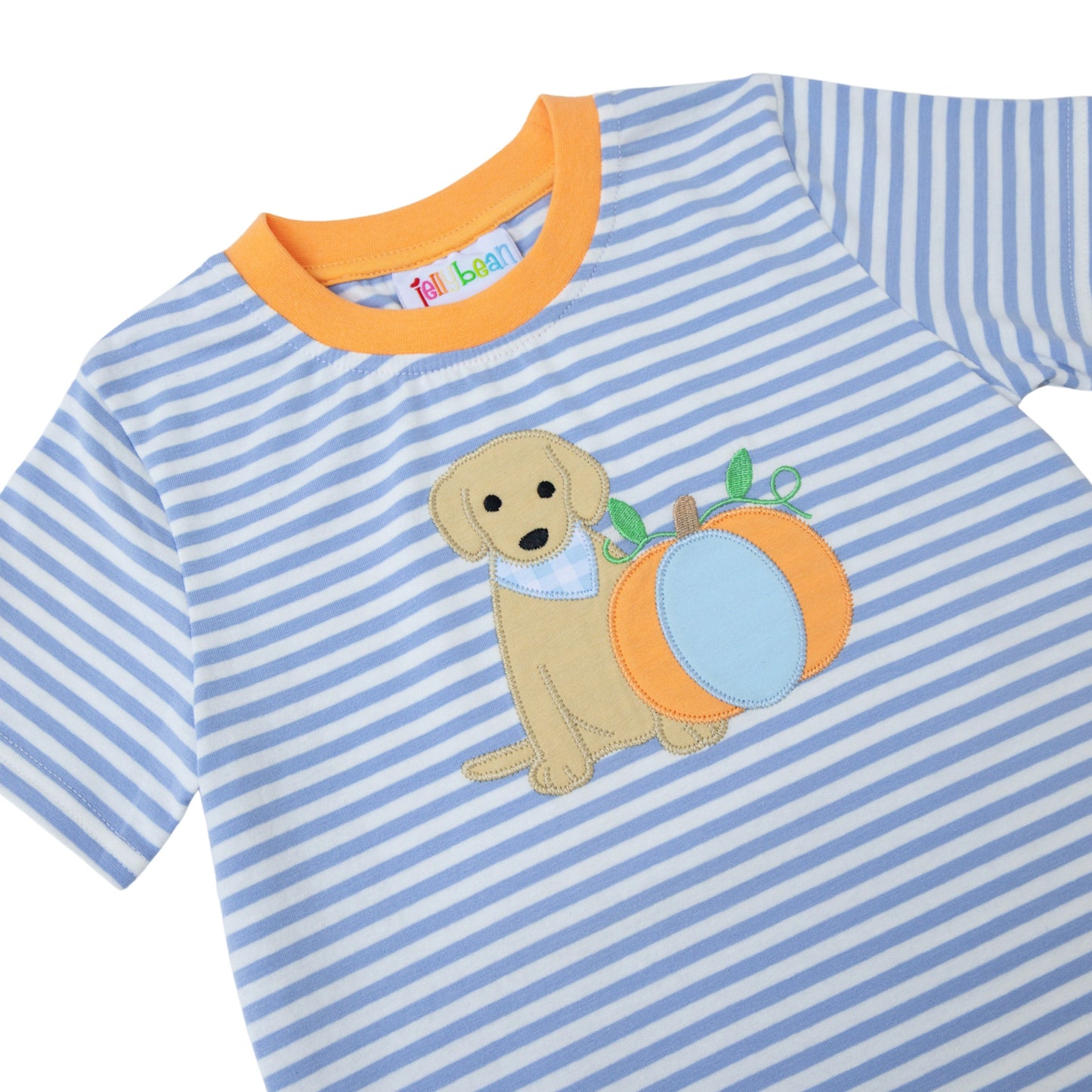 Boys Pumpkins and Paws Short Set